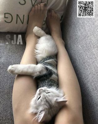 七部不得不看的AV-高清蓝光在线视频观看