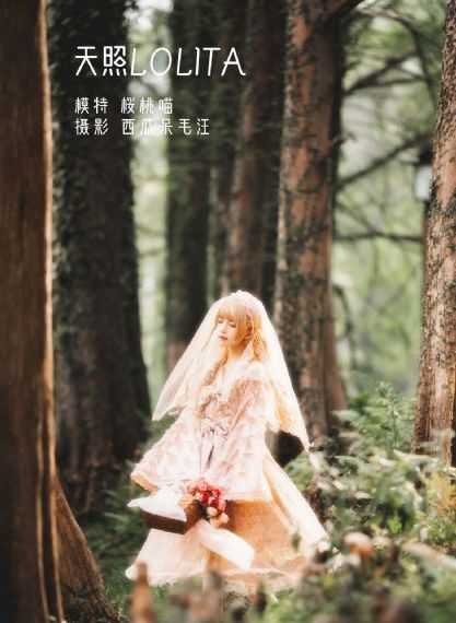国产成人毛片精品不卡在线-经典日韩成人在线
