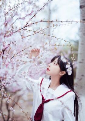 干处女视频-短视频正片免费观看